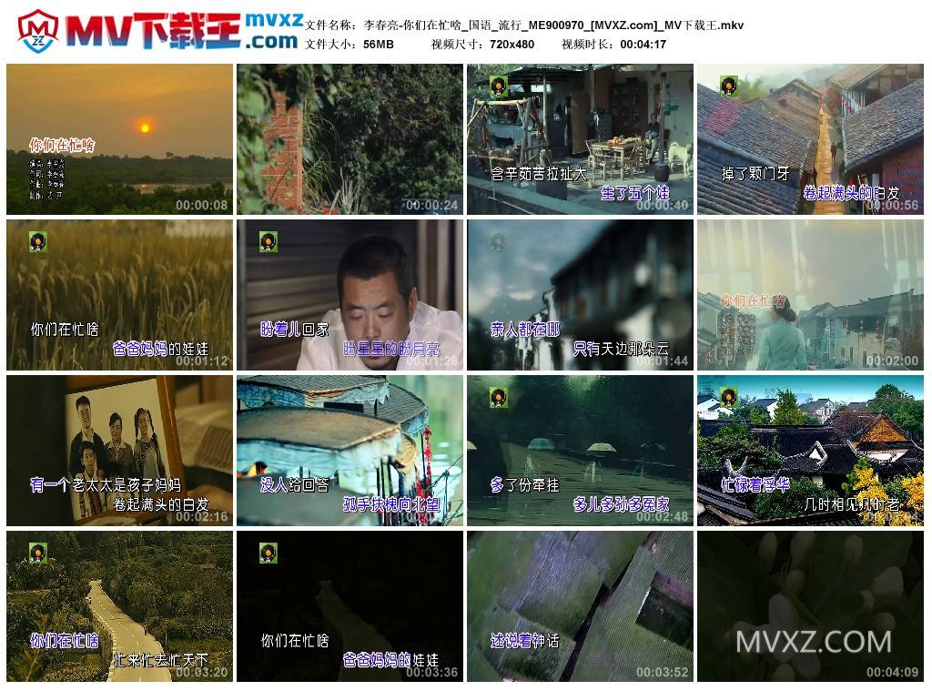 李春亮-你们在忙啥_国语_流行_ME900970